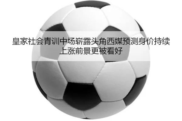 img_1785328678797_322_1_990.jpg